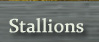 Stallions