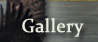 Photo Gallery